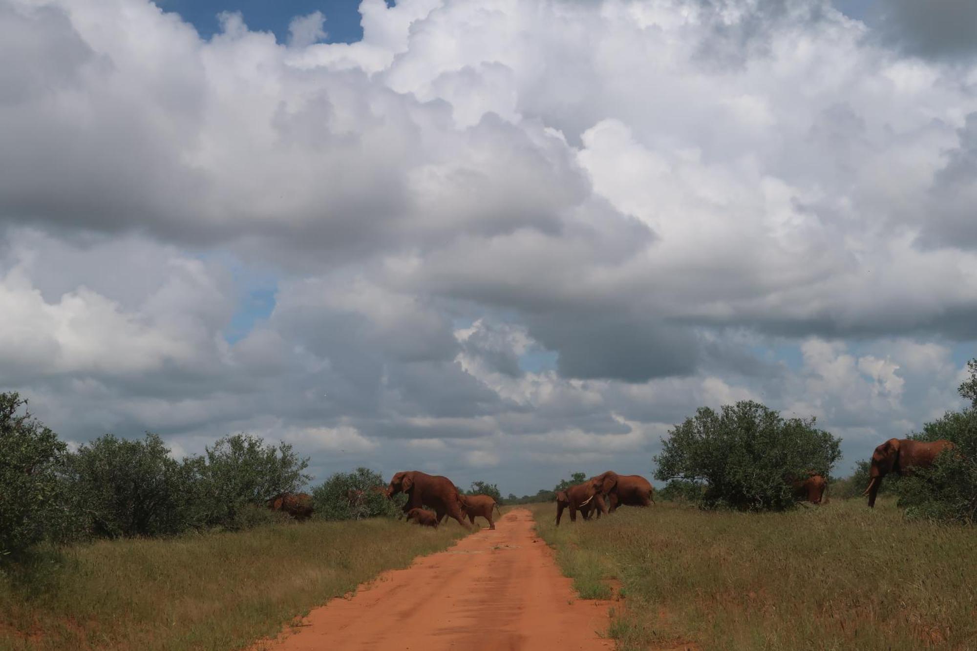 Voi Tausa Tsavo Eco Lodge מראה חיצוני תמונה